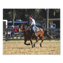 IMG_6326 PHOTO