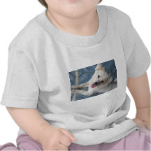 IMG_6813.JPG TEES