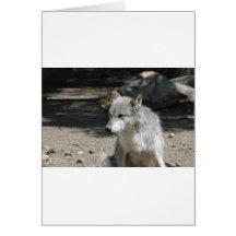IMG_7818 CARD