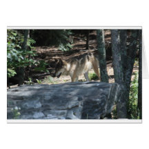 IMG_7837 GREETING CARD