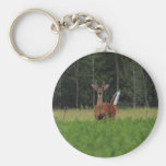 IMG_9486_1 KEY CHAIN