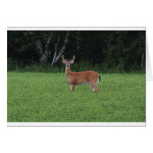 IMG_9585_1 GREETING CARD