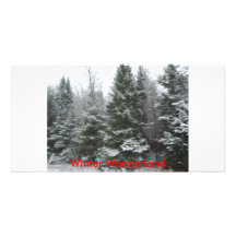 IMGP0140, Winter Wonderland Photo Greeting Card
