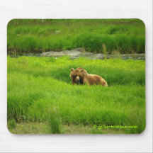 IMGP1453brownbear1 copy,  gilbertstetson.com Mouse Pads