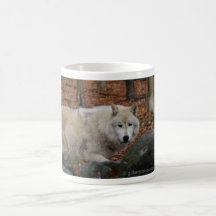 IMGP5033Articwolf, © gilbertstetson.com Coffee Mugs