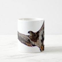 Immature Bald Eagle in Flight Mug