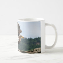 Immature Bald Eagle Ready For Takeoff Mugs