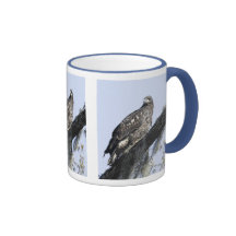 Immature Eagle Coffee Mugs