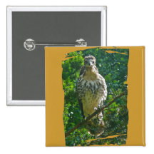 Immature Red Tailed Hawk Coordinating Items Pins