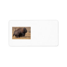Impact Personalized Address Labels