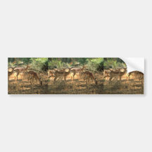 Impala Autocollant Pour Voiture
