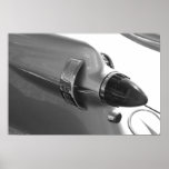 Imperial Tailfin Print