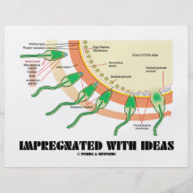 Impregnated With Ideas (Sperm Egg Fertilization) Flyers