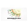 Impregnated With Ideas (Sperm Egg Fertilization) Personalized Photo Card