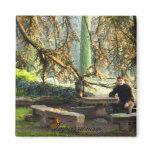 Impressionism magnets