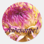 Impressionnant ! dahlia de pourpre de rose de dahl