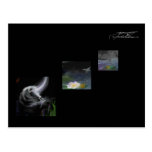 Impressions - carte postale