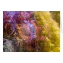 Impressions of Autumn