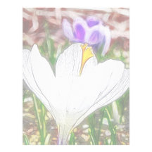 Impressions Of The Crocus Garden Letterhead