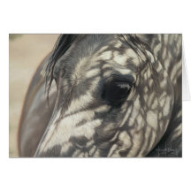 In a Silent Way Greeting Cards