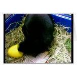 In Action Card