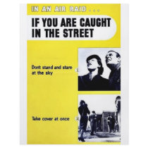 In An Air Raid, If You Are Caught In The Street Personalized Flyer