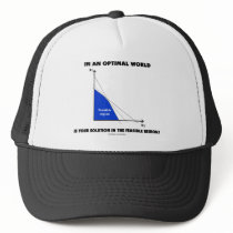 In An Optimal World Is Your Solution Feasible?