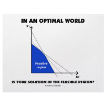 In An Optimal World Is Your Solution Feasible?