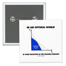 In An Optimal World Is Your Solution Feasible? Pin