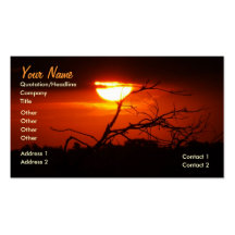 In Between the Sunset BUSINESS Card