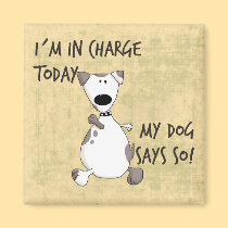 In Charge magnets
