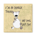 In Charge Magnet