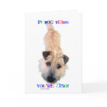 In Dog Years You're 350 Greeting Cards