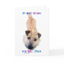 In Dog Years You're 350 Greeting Cards