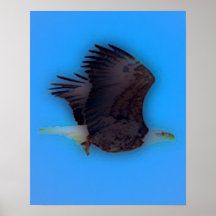 'In Flight' Posters