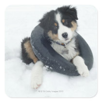 in inner tube in the snow sticker