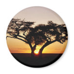 IN KENYA MAGNETS