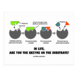 In Life, Are You The Enzyme Or The Substrate? Post Cards