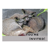 In Love Foxes Personalized Announcement