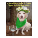 In Many Places on Earth People Cannot Walk to Clea Postcards