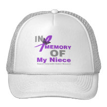 In Memory of My Niece Pancreatic Cancer Mesh Hat