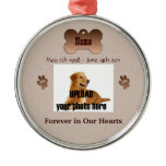 In Memory of Your Dog