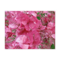 In Pink Calendar -2012 Postcards