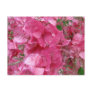 In Pink Calendar -2012 Postcards