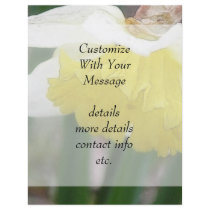 In Profile - Delicate Spring Daffodil Flyers