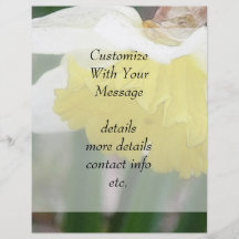 In Profile - Delicate Spring Daffodil Flyers