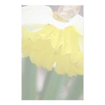 In Profile - Delicate Spring Daffodil Stationery