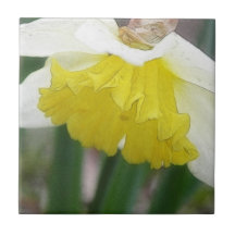 In Profile - Delicate Spring Daffodil Ceramic Tile