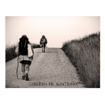 In search, Camino de Santiago Postcards