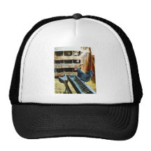 In the Chicken Coop Mesh Hats